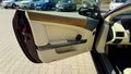 Daumennagel 13 - Aston Martin DB9 Coupe Touchtronic 5.9 V12, 4200km