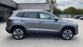 Daumennagel 4 - Skoda Karoq Selection ACC; DSG; AHK