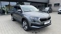 Daumennagel 3 - Skoda Karoq Selection ACC; DSG; AHK