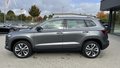 Daumennagel 8 - Skoda Karoq Selection ACC; DSG; AHK