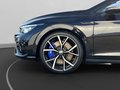 Daumennagel 11 - Volkswagen Golf VIII 8 R Perf. 2.0 TSI DSG 4M ACC+LED+ACC