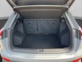 Daumennagel 19 - Audi Q4 e-tron Advanced LED+Sthz+Navi+Alu+SH+PDC