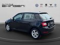 Daumennagel 8 - Skoda Fabia 1.0 TSI DSG Ambition Kamera+PDC+SH