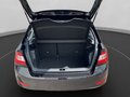 Daumennagel 18 - Skoda Fabia 1.0 TSI DSG Ambition Kamera+PDC+SH