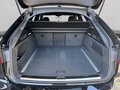 Daumennagel 20 - Audi RS6 Avant VOLL Pano+Sthz+AHK+Keramik
