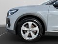 Daumennagel 11 - Audi Q4 35 e-tron Sportback LED+Alu+Sthz+SH+PDC+CCS