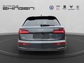 Daumennagel 8 - Audi Q5 S Line 45 TFSI quattro Luft+Matrix+AHK+HUD+ACC+Navi