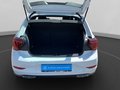 Daumennagel 19 - Volkswagen Polo R-Line 1.0 TSI DSG Matrix+ACC