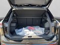 Daumennagel 18 - Volkswagen Tiguan R-Line 2,0 l TSI OPF 4MOTION 150 kW (204 PS) 7-Gang-Doppelkupplungsgetriebe DSG