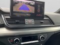 Daumennagel 18 - Audi SQ5 Sportback 3.0 TDI quattro Matrix+AHK+ACC+Leder+Kamera+Navi
