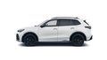 Daumennagel 2 - Volkswagen Tiguan R-Line 2,0 l TDI SCR 4MOTION 142 kW (193 PS) 7-Gang-Doppelkupplungsgetriebe DSG