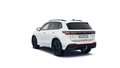 Daumennagel 3 - Volkswagen Tiguan R-Line 2,0 l TDI SCR 4MOTION 142 kW (193 PS) 7-Gang-Doppelkupplungsgetriebe DSG