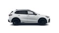 Daumennagel 6 - Volkswagen Tiguan R-Line 2,0 l TDI SCR 4MOTION 142 kW (193 PS) 7-Gang-Doppelkupplungsgetriebe DSG