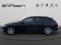Daumennagel 10 - Audi A4 Avant 35 2.0 TSI Automatik LED+Navi+PDC+SH