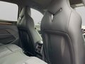 Daumennagel 22 - CUPRA Terramar 1.5 eTSI DSG AHK+LED+ACC+Navi