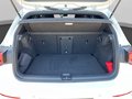 Daumennagel 19 - Volkswagen Golf VIII Black GTI 2.0 TSI DSG LED+Navi+ACC+Kamera