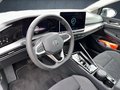 Daumennagel 15 - Volkswagen Golf Variant VIII Style 1.5 eTSI DSG AHK Pano
