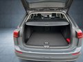 Daumennagel 23 - Volkswagen Golf Variant VIII Style 1.5 eTSI DSG AHK Pano