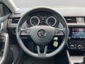 Daumennagel 15 - Skoda Octavia 1.5 TSI Style Sunset AHK+PDC+SH