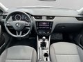 Daumennagel 16 - Skoda Octavia 1.5 TSI Style Sunset AHK+PDC+SH