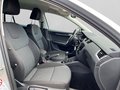 Daumennagel 21 - Skoda Octavia 1.5 TSI Style Sunset AHK+PDC+SH