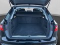 Daumennagel 19 - Audi A4 Avant advanced 40 TDI quattro AHK+LED+Navi