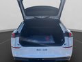 Daumennagel 18 - Volkswagen T-Roc R-Line 1.5 l eTSI OPF 110 kW (150 PS) 7-Gang-Doppelkupplungsgetriebe DSG