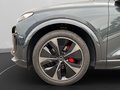 Daumennagel 11 - Audi Q6 e-tron S Line Pano+HuD+LED+Navi+ACC+Sthz+Leder+Kamera