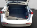 Daumennagel 19 - Volkswagen Tiguan Life 2.0 TDI DSG 3,99% AHK+ACC+LED+Navi
