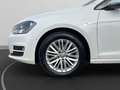 Daumennagel 11 - Volkswagen Golf Variant VII 1.6 TDI CUP AHK+SH+PDC