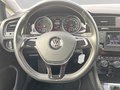 Daumennagel 15 - Volkswagen Golf Variant VII 1.6 TDI CUP AHK+SH+PDC