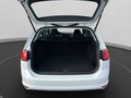 Daumennagel 19 - Volkswagen Golf Variant VII 1.6 TDI CUP AHK+SH+PDC