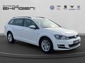 Daumennagel 4 - Volkswagen Golf Variant VII 1.6 TDI CUP AHK+SH+PDC