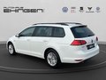 Daumennagel 9 - Volkswagen Golf Variant VII 1.6 TDI CUP AHK+SH+PDC