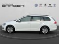 Daumennagel 10 - Volkswagen Golf Variant VII 1.6 TDI CUP AHK+SH+PDC