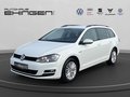 Daumennagel 1 - Volkswagen Golf Variant VII 1.6 TDI CUP AHK+SH+PDC