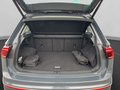 Daumennagel 18 - Volkswagen Tiguan Elegance 2.0 TDI DSG 4M AHK+Matrix+360+HUD