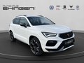 Daumennagel 4 - CUPRA Ateca 2.0 TSI DSG 4Drive LED+Navi+Kamera