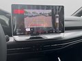 Daumennagel 17 - Volkswagen Golf GTI 2,0 l TSI OPF 195 kW (265 PS) 7-Gang-Doppelkupplungsgetriebe DSG