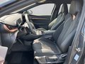 Daumennagel 12 - CUPRA Tavascan Endurance LED+Navi+ACC+Sthz+Kamera+Wärmepumpe