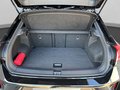 Daumennagel 19 - Volkswagen T-Roc Black R-Line 1.5 TSI DSG Pano+Matrix+ACC+Navi+Kamera