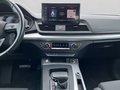 Daumennagel 17 - Audi Q5 quattro Hybrid S Line Matrix+AHK+Navi+Sthz