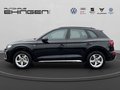 Daumennagel 10 - Audi Q5 quattro Hybrid S Line Matrix+AHK+Navi+Sthz