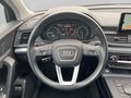 Daumennagel 15 - Audi Q5 50 Hybrid quattro S Line AHK+Navi+Sthz+ACC+Xenon