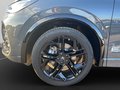 Daumennagel 11 - Volkswagen Tiguan R-Line 2.0 TDI DSG Matrix Navi ACC Kamera