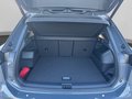 Daumennagel 19 - Volkswagen Tiguan R-Line 2.0 TDI DSG Matrix Navi ACC Kamera