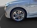 Daumennagel 11 - Audi Q4 e-tron S line LED+Navi+Sthz