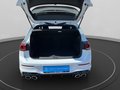 Daumennagel 19 - Volkswagen Golf VIII 8 R Performance 20 Years H&K ACC LED Kamera