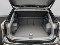Daumennagel 18 - Volkswagen Tiguan R-Line 2,0 l TDI SCR 4MOTION 142 kW (193 PS) 7-Gang-Doppelkupplungsgetriebe DSG
