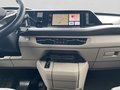 Daumennagel 15 - Volkswagen T7 Multivan Edition 2.0 TSI DSG Matrix+ACC+AHK+Navi+Kamera